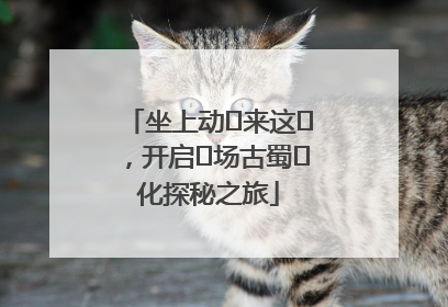 坐上动⻋来这⾥，开启⼀场古蜀⽂化探秘之旅