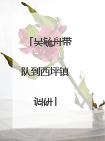 吴毓舟带队到西坪镇调研