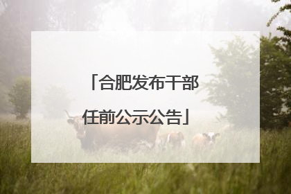 合肥发布干部任前公示公告