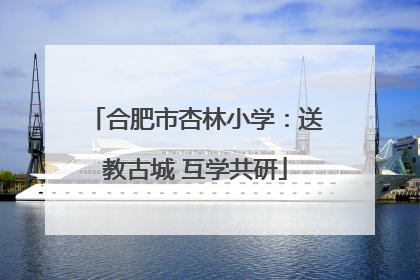 合肥市杏林小学：送教古城 互学共研