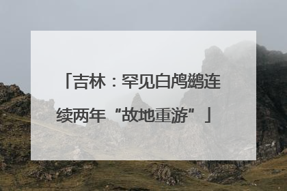 吉林：罕见白鸬鹚连续两年“故地重游”