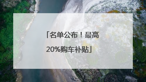 名单公布！最高20%购车补贴