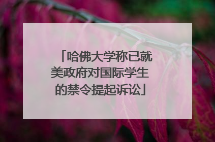 哈佛大学称已就美政府对国际学生的禁令提起诉讼