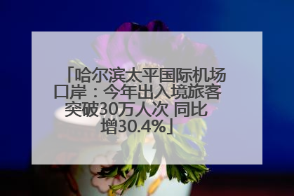 哈尔滨太平国际机场口岸：今年出入境旅客突破30万人次 同比增30.4%