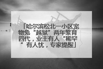哈尔滨松北一小区宠物兔“越狱”两年繁育四代，业主有人“稀罕”有人忧，专家提醒