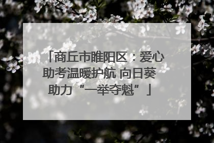 商丘市睢阳区：爱心助考温暖护航 向日葵助力“一举夺魁”