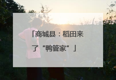 商城县：稻田来了“鸭管家”