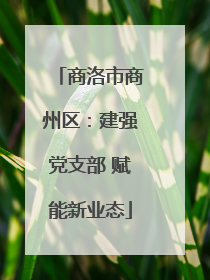 商洛市商州区：建强党支部 赋能新业态