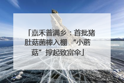 嘉禾普满乡：首批猪肚菇菌棒入棚 “小蘑菇”撑起致富伞