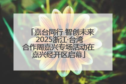 嘉台同行 智创未来 2025浙江·台湾合作周嘉兴专场活动在嘉兴经开区启幕