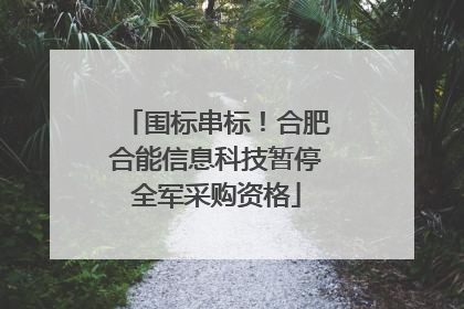 围标串标！合肥合能信息科技暂停全军采购资格