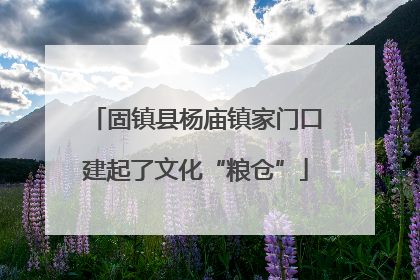 固镇县杨庙镇家门口建起了文化“粮仓”