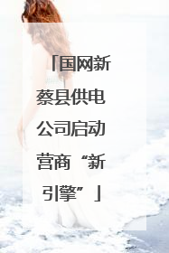 国网新蔡县供电公司启动营商“新引擎”