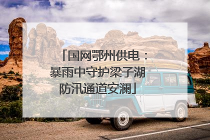国网鄂州供电：暴雨中守护梁子湖防汛通道安澜