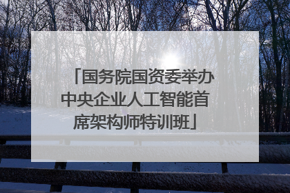 国务院国资委举办中央企业人工智能首席架构师特训班