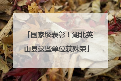 国家级表彰！湖北英山县这些单位获殊荣