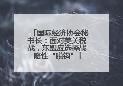 国际经济协会秘书长：面对美关税战，东盟应选择战略性“脱钩”