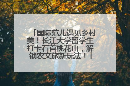 国际范儿遇见乡村美！长江大学留学生打卡石首桃花山，解锁农文旅新玩法！