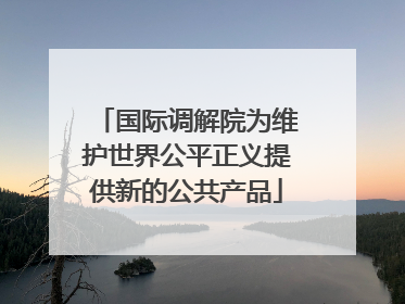 国际调解院为维护世界公平正义提供新的公共产品