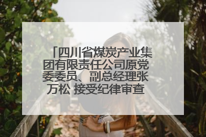 四川省煤炭产业集团有限责任公司原党委委员、副总经理张万松 接受纪律审查和监察调查