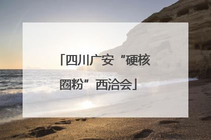四川广安“硬核圈粉”西洽会