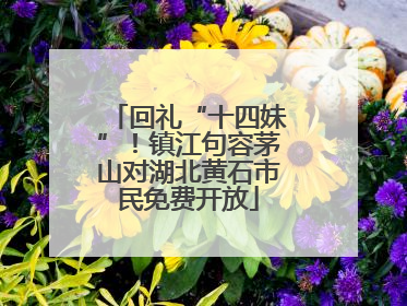 回礼“十四妹”！镇江句容茅山对湖北黄石市民免费开放