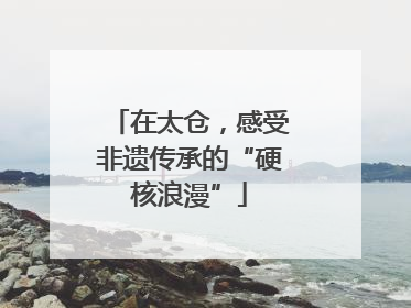 在太仓，感受非遗传承的“硬核浪漫”