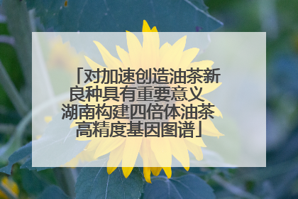 对加速创造油茶新良种具有重要意义 湖南构建四倍体油茶高精度基因图谱