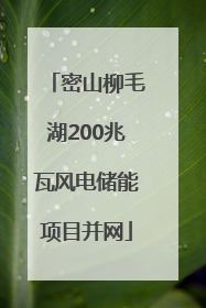 密山柳毛湖200兆瓦风电储能项目并网