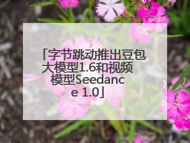 字节跳动推出豆包大模型1.6和视频模型Seedance 1.0