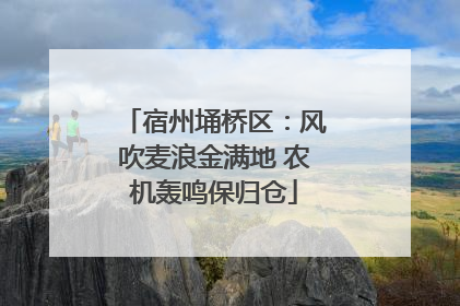宿州埇桥区：风吹麦浪金满地 农机轰鸣保归仓