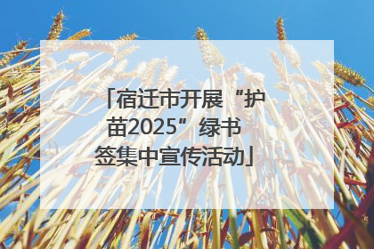 宿迁市开展“护苗2025”绿书签集中宣传活动