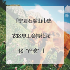 宁夏石嘴山市惠农区总工会持续深化“产改”