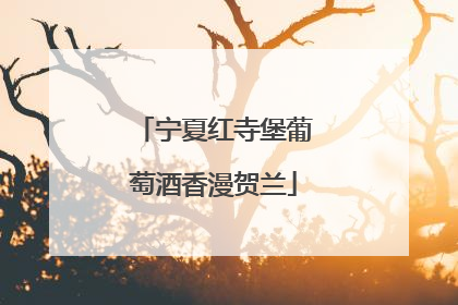 宁夏红寺堡葡萄酒香漫贺兰
