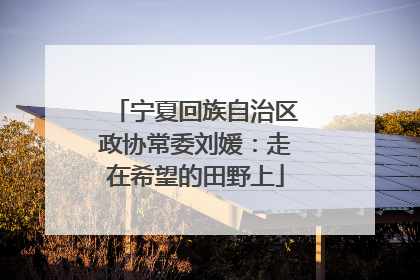宁夏回族自治区政协常委刘媛：走在希望的田野上