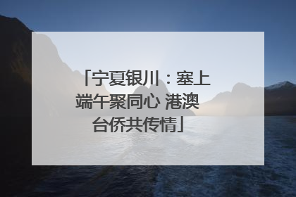 宁夏银川：塞上端午聚同心 港澳台侨共传情