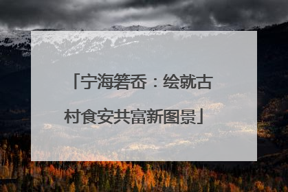 宁海箬岙：绘就古村食安共富新图景