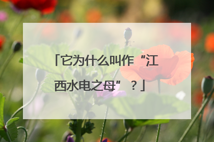 它为什么叫作“江西水电之母”？