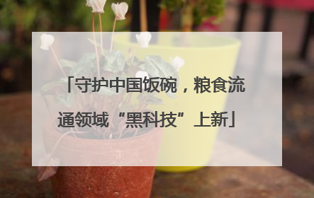 守护中国饭碗，粮食流通领域“黑科技”上新