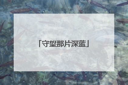 守望那片深蓝