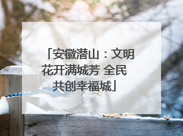 安徽潜山：文明花开满城芳 全民共创幸福城