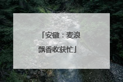 安徽：麦浪飘香收获忙