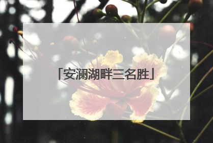 安澜湖畔三名胜