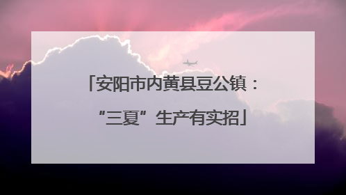 安阳市内黄县豆公镇：“三夏”生产有实招
