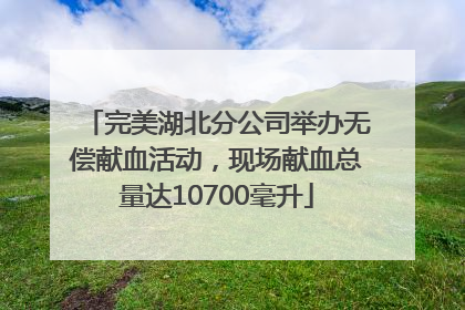 完美湖北分公司举办无偿献血活动，现场献血总量达10700毫升