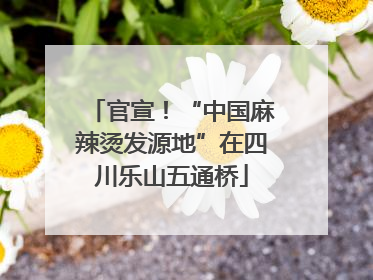官宣！“中国麻辣烫发源地”在四川乐山五通桥