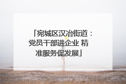 宛城区汉冶街道：党员干部进企业 精准服务促发展