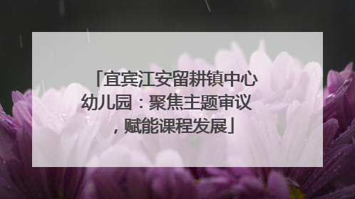 宜宾江安留耕镇中心幼儿园：聚焦主题审议，赋能课程发展