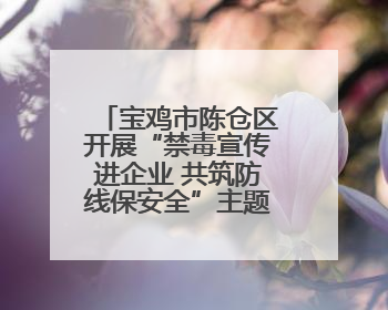 宝鸡市陈仓区开展“禁毒宣传进企业 共筑防线保安全”主题宣传活动
