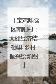 宝鸡陈仓区南阳村：大棚经济结硕果 乡村振兴绘新图